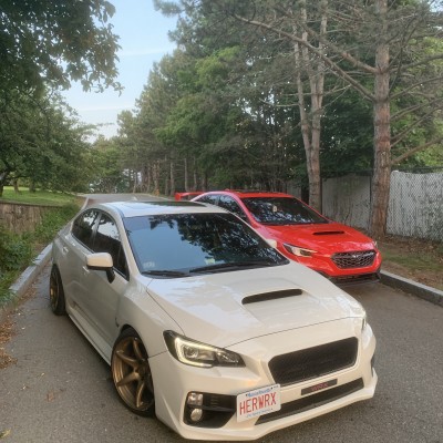 antea-sch's Subaru WRX