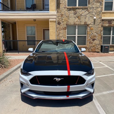 Miss5point0's Ford Mustang GT