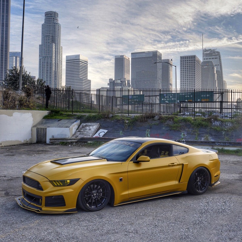 Lamaraul's Ford Mustang