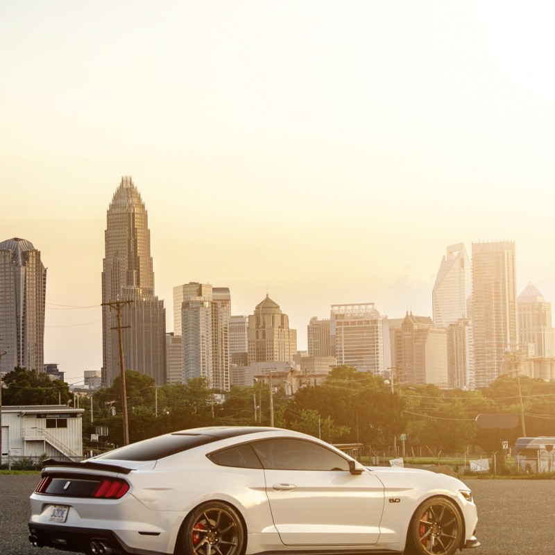 deja_vu_5.0's Ford Mustang