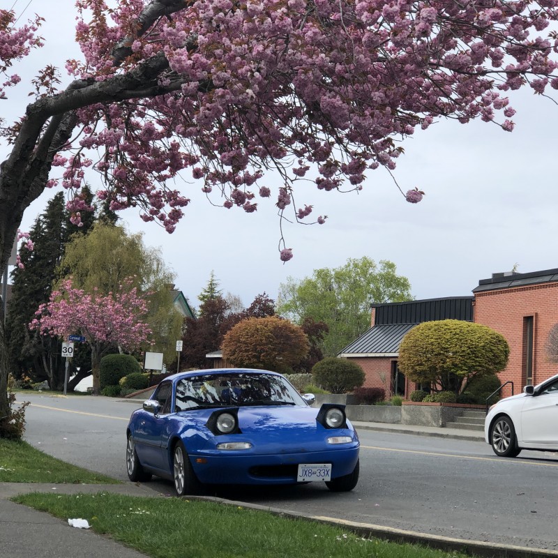jaemx5's Mazda Miata