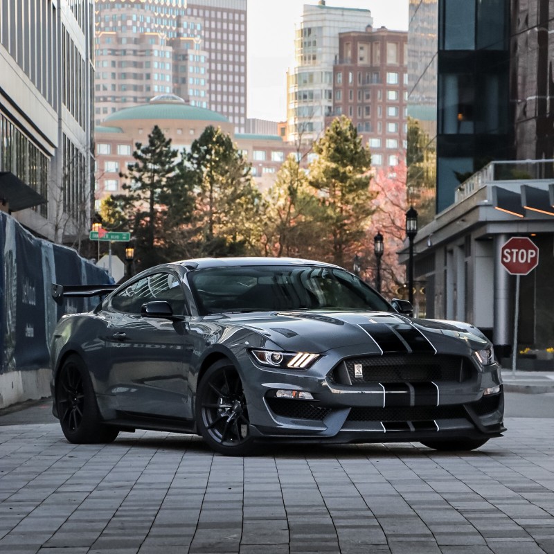 mscieszko's Ford Shelby GT350